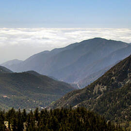 A Lofty View by Ed Clark