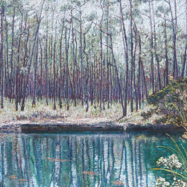 Abaco Blue Hole - Bahamas by Ritchie Eyma