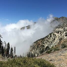 Above the Clouds by Ed Clark