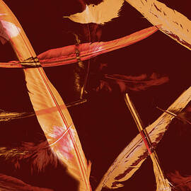 Abstract feathers falling on brown background by Jorgo Photography