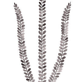 Abstract fern watercolor art print painting by Joanna Szmerdt