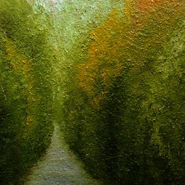 Into The Wild by Angeles M Pomata