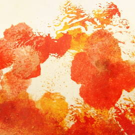 Abstract Poppies by Angeles M Pomata