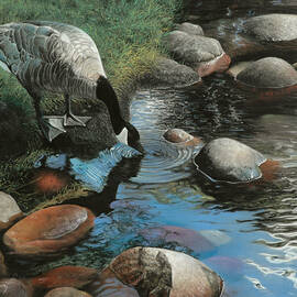 Abundance by David Vincenzi