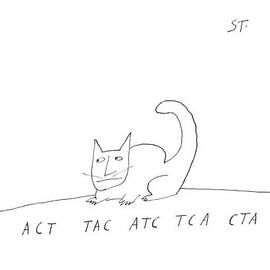 Act Tac Atc Tca Cta by Saul Steinberg