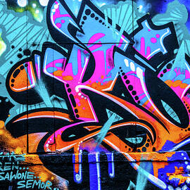 Aerosol Art  by Louis Dallara