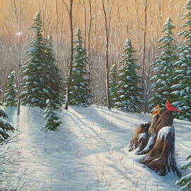 After the Snowfall by Jake Vandenbrink