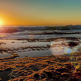 Aliso Point with Flare by Kelley King