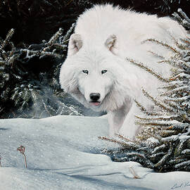 Alone On The Path by David Vincenzi