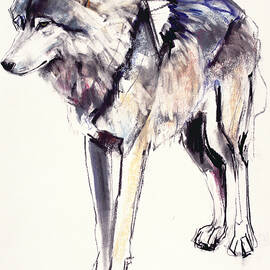 Alpha by Mark Adlington