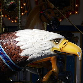 American Eagle by Richard Reeve