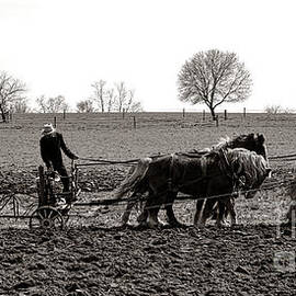 Amish Farming by Olivier Le Queinec