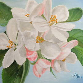 Apple Blossom by Angeles M Pomata