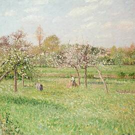 Apple Trees at Gragny by Camille Pissarro