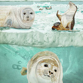 Arctic Expedition by Angeles M Pomata