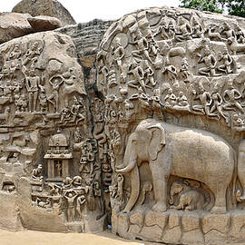 Arjunas Penance - Mahabalipuram by Richard Reeve