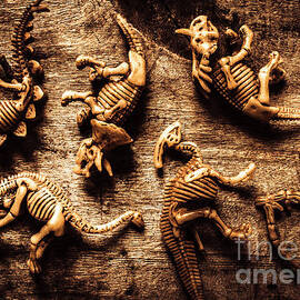 Art in palaeontology by Jorgo Photography