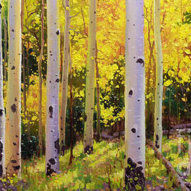 Aspen Symphony by Gary Kim