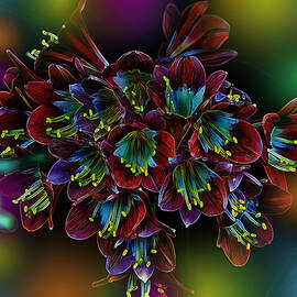 Assortment of Splendor by Bill and Linda Tiepelman