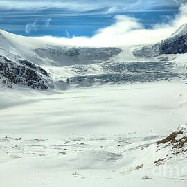 Athbasca Glacier At The Columbia Icefield by Adam Jewell