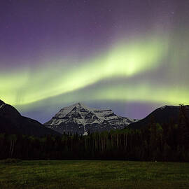 Aurora over Mt Robson by M C Hood