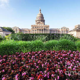 Austin Texas State Capitol Building Flowers by Paul Velgos
