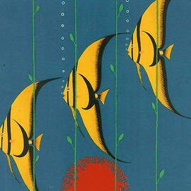 Australia by Georgia Clare