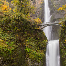 Autumn at Multnomah by Russell Wells