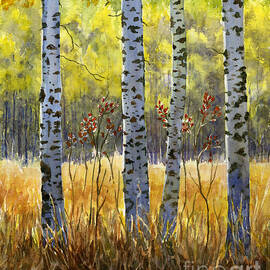Autumn Birch Trees in Shadow by Randy M