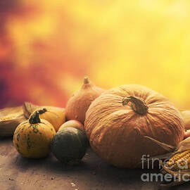 Autumn crops by Jelena Jovanovic