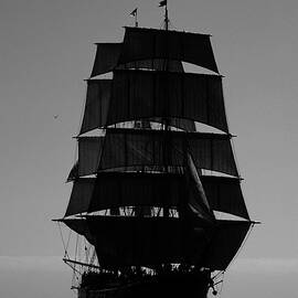 Back lit Tall Ship by David Shuler
