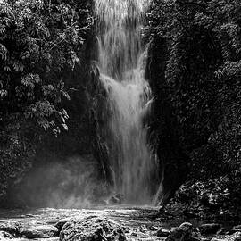 Bamboo Forest Waterfall by Kelley King