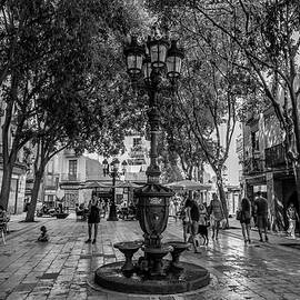 Barcelona Square with Trees by Georgia Clare