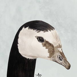 Barnacle Goose Portrait by Angeles M Pomata