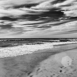 Beach Break by Alison Frank