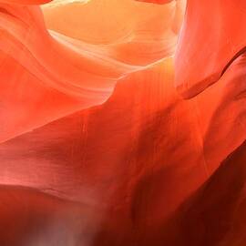 Beaming Orange by Adam Jewell