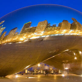 Bean Reflections by Donald Schwartz
