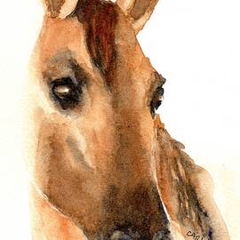 Beautiful Dun Horse Watercolor by Carlin Blahnik CarlinArtWatercolor