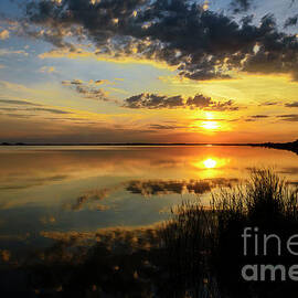 Beautiful sunset at the lake by Jelena Jovanovic