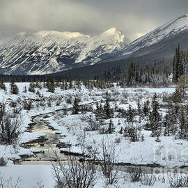 Beauty Creek December Landsape by Adam Jewell