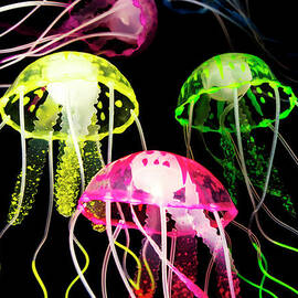 Beauty in black seas by Jorgo Photography