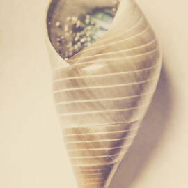 Beauty in oceanic symmetry by Jorgo Photography