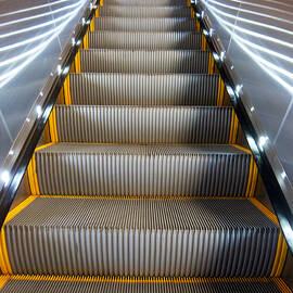 Beauty is Where You Find It by Mary Lee Dereske