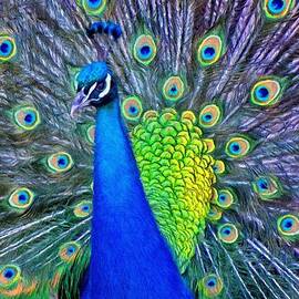 Beauty Whatever the Name by Jeffrey Kolker