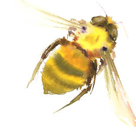 Bee by Suren Nersisyan