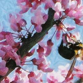 Bee to the Blossom by Jeffrey Kolker
