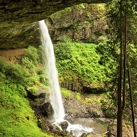 Behind North Silver Falls by Mary Jo Allen