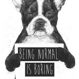 Being normal is boring