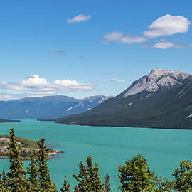 Tagish Lake by Ed Clark