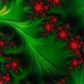 Berries  by John Edwards